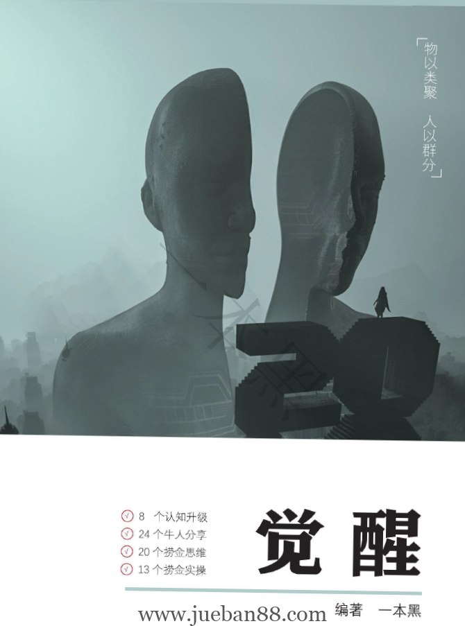 一本黑《觉醒》.pdf